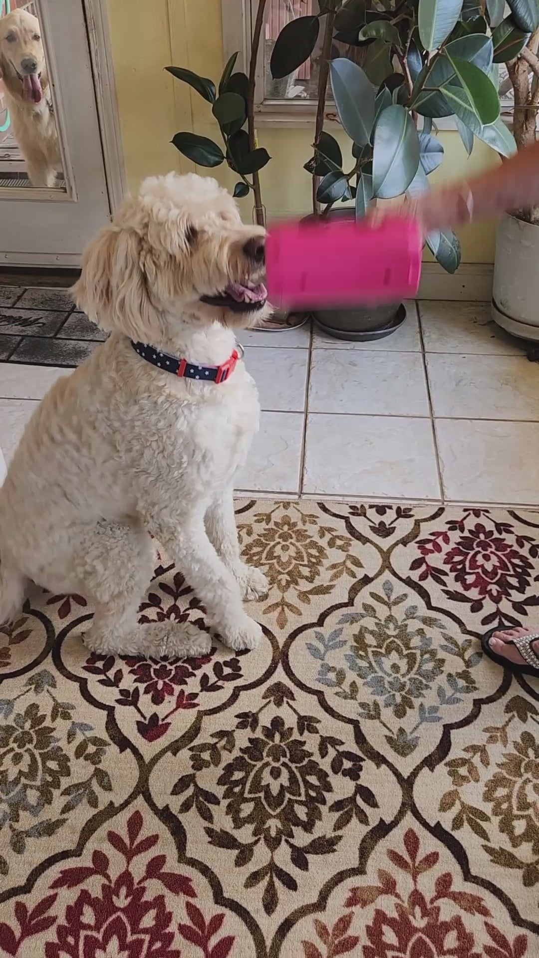 PupperTumbler Slow Feeder